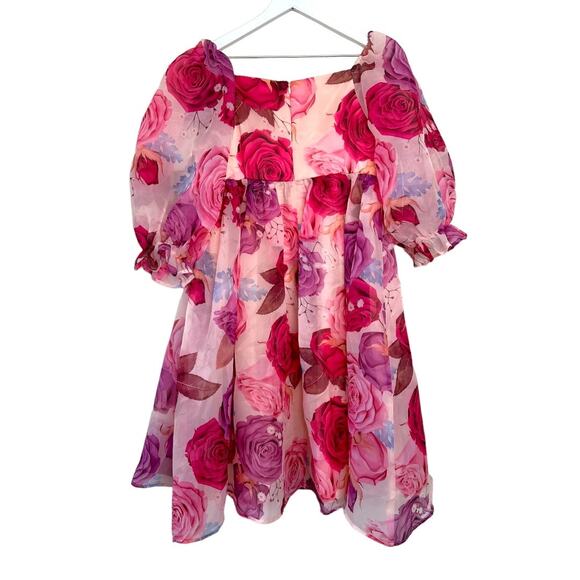 JessaKae Polly Dress Pink Floral Organza Puff Sleeve Size M - Picture 5 of 12